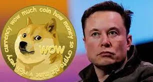 Doge'de korkutan düşüş, Musk bu kez uyardı - Diken