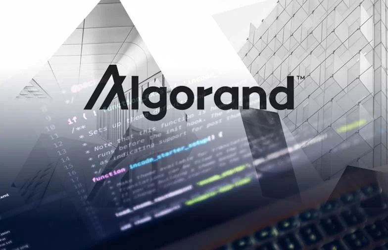 algorand.webp