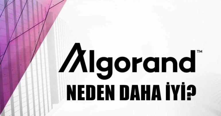 algorand1.jpg