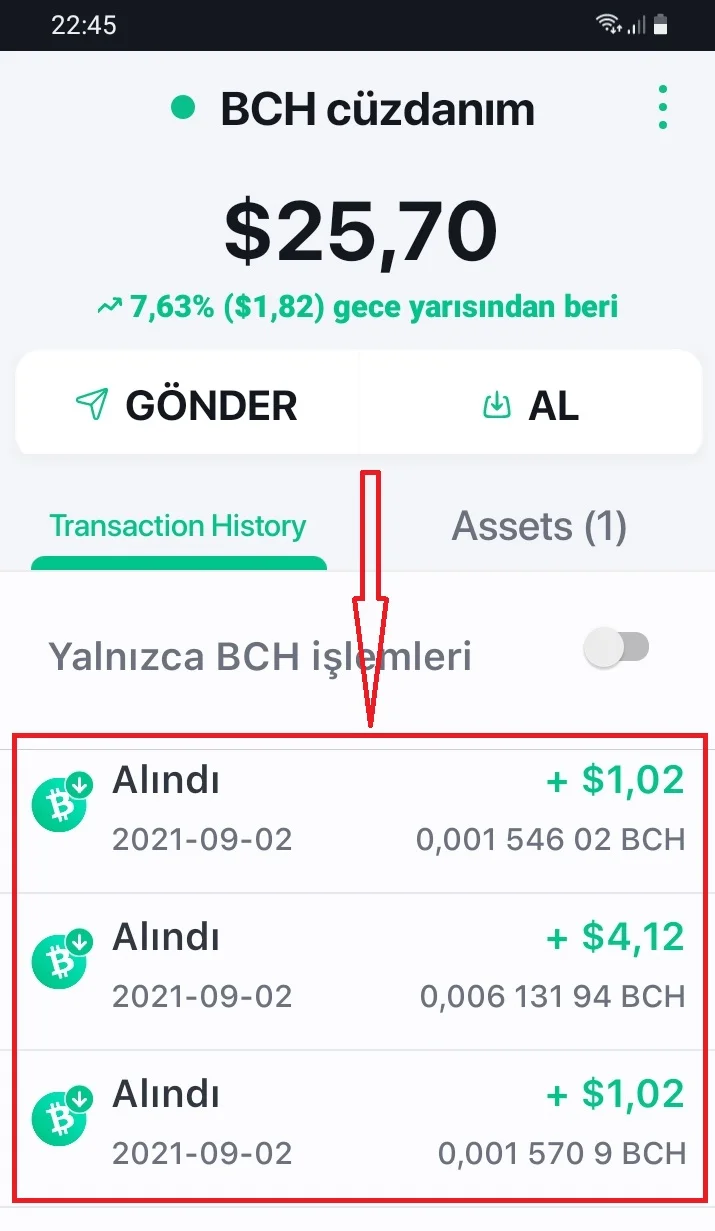 bch ödemeler.webp