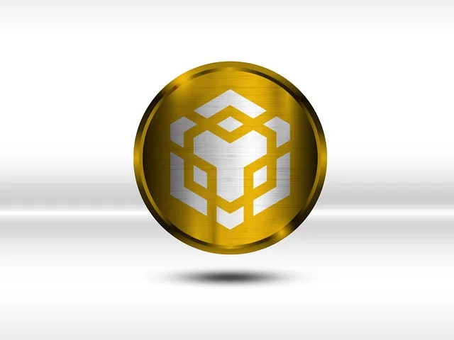 binance-gb4ca8b992_640.webp