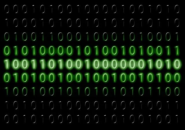 binary-code-g30e901dd2_640.jpg