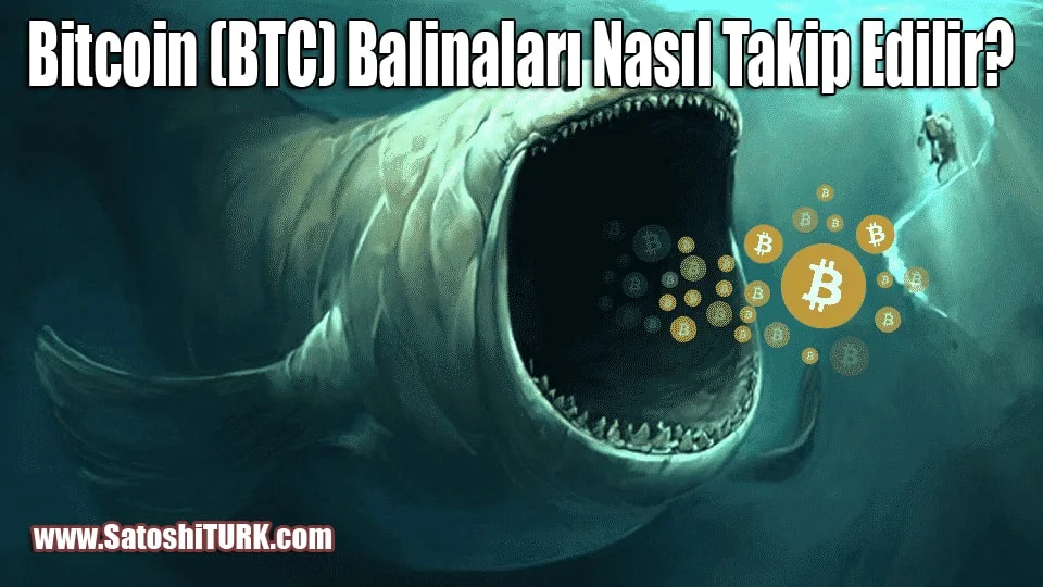 Bitcoin (BTC) Balinaları Nasıl Takip Edilir-min.webp