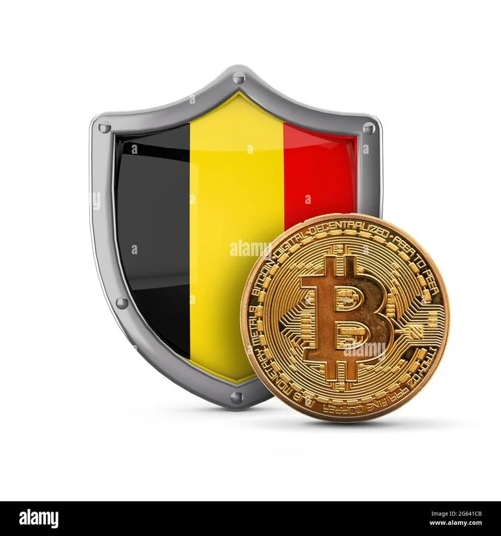 bitcoin-cryptocurrency-coin-in-front-of-a-belgium-flag-shield-3d-render-2G641CB.webp