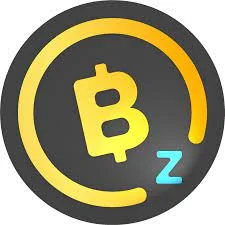 BitcoinZ.webp