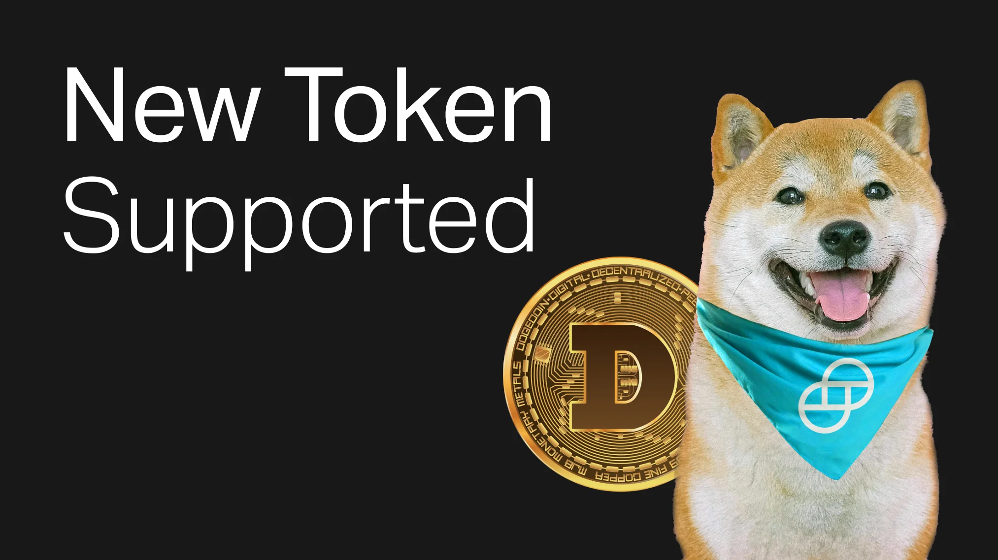 Blog_Header_-_-doge.jpg