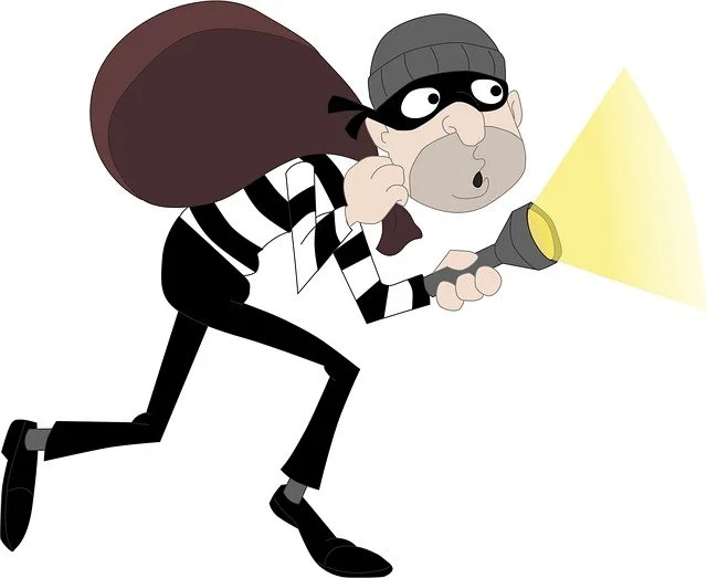 burglar-4925202_640.webp