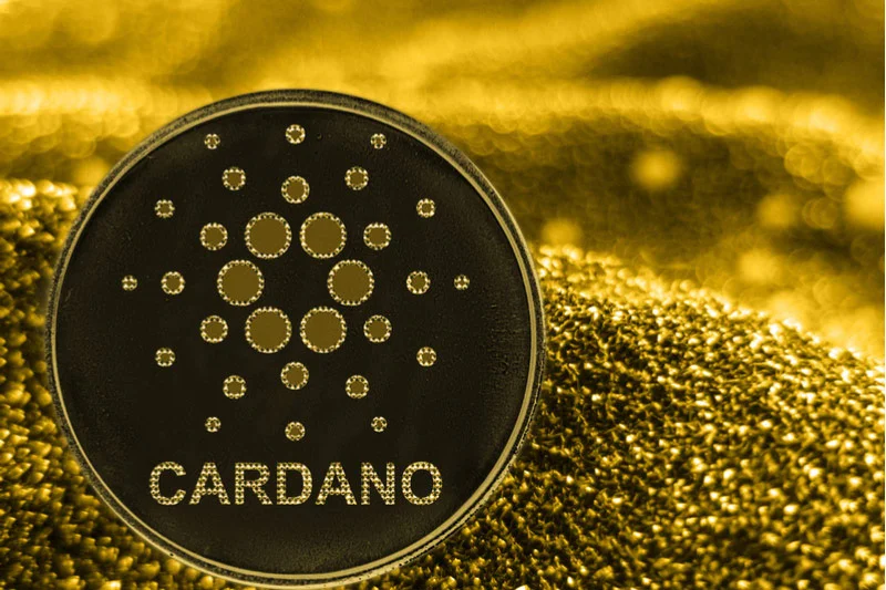 Cardano_800x533_L_1556444760.webp