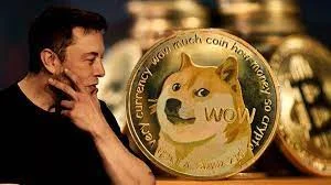 doge-elon.webp