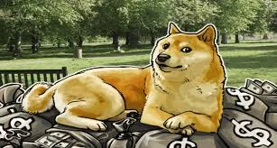 doge.webp