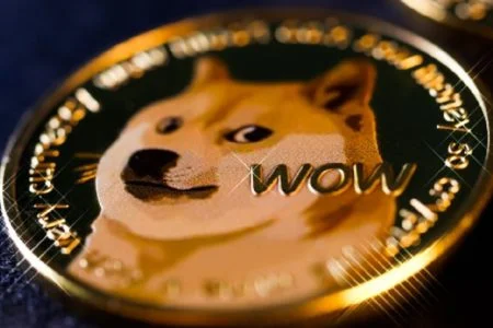 dogecoin_new_cover_pexels_large_1639648624431-450x300.webp