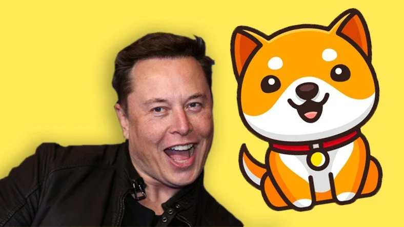 elon-musk-tek-tweet-ile-bebek-dogeyi-ucurdu-vnfxYgiI.webp