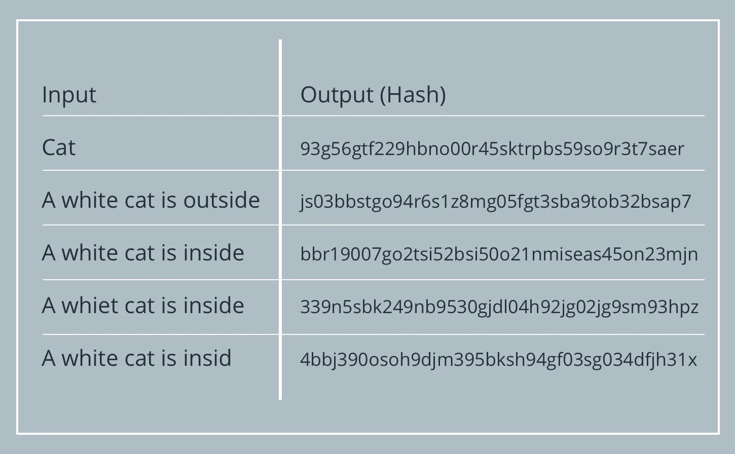 input3.webp