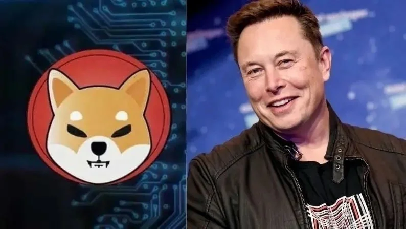 Musk Tweet Attı, SHIBA Yüzde 15 Yükseldi.jpg