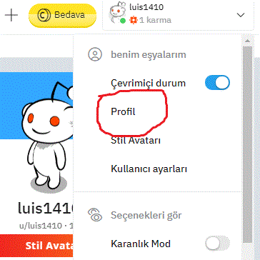 reddit profil.GIF