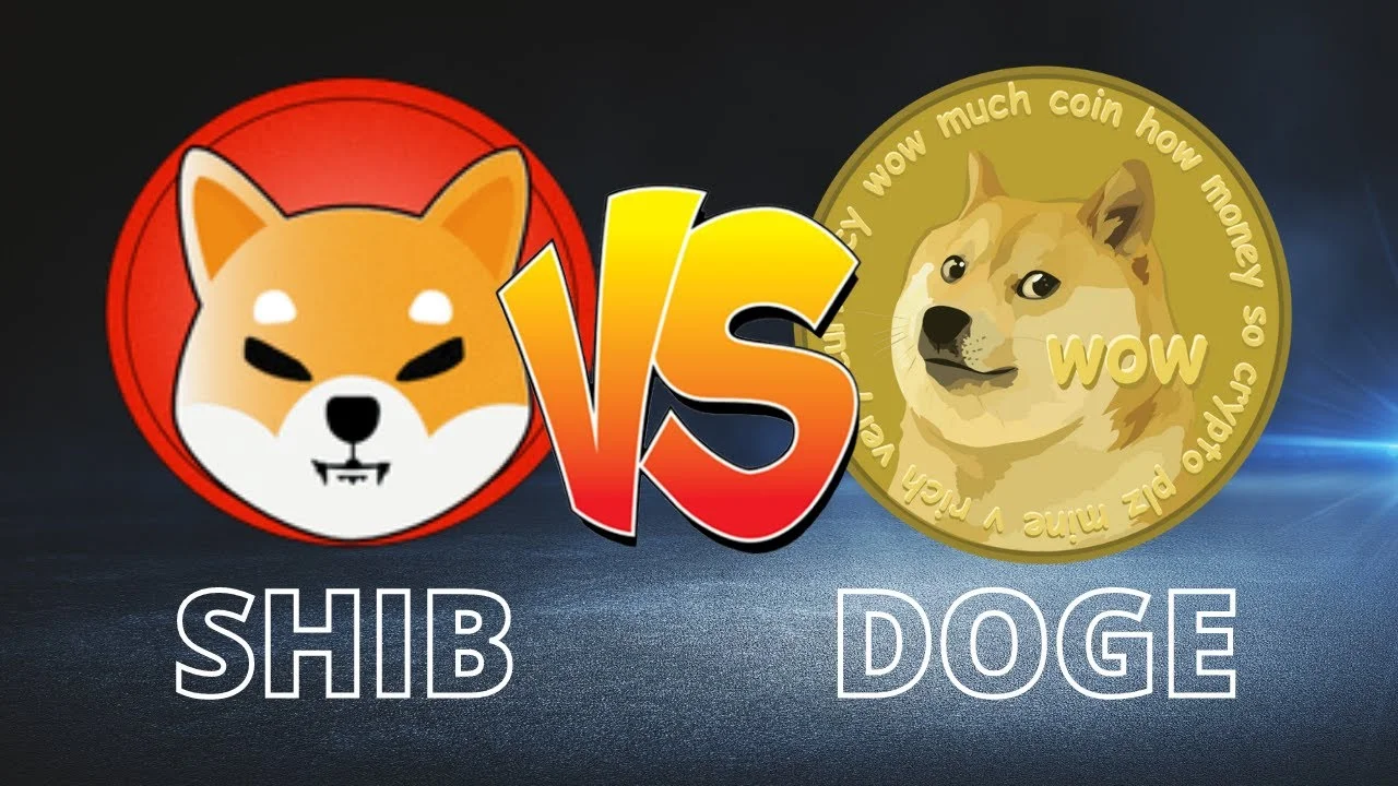 shiba ve doge çekişmesi.webp