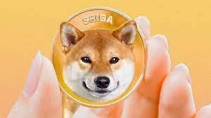 shiba.webp