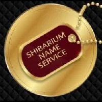 Shibarium Name Service.webp