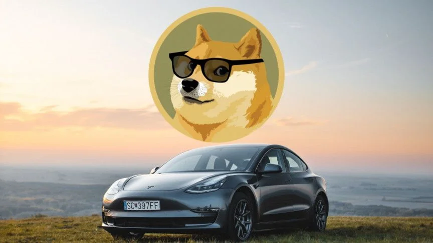 teslaDOGE.jpg