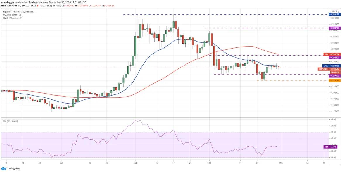 xrp1ekim1.webp