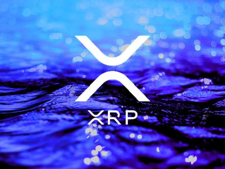 xrpx.webp