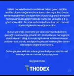 thodex 2.webp