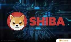 shib.webp