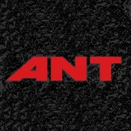 ant