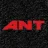 ant