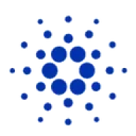 Cardano Sohbet ve Yorumları