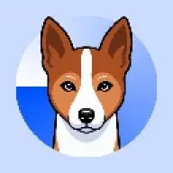 Basenji Sohbet ve Yorumları