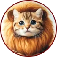 Lion Cat Sohbet ve Yorumları