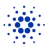 Cardano Sohbet ve Yorumları