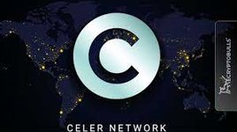 foto celer network.jpg